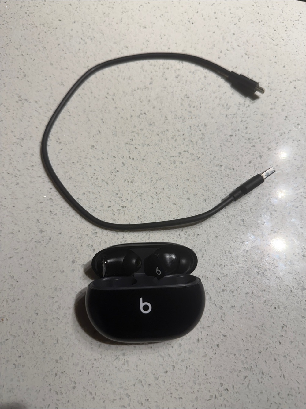 Beats Studio Buds Wireless Earbuds in Black